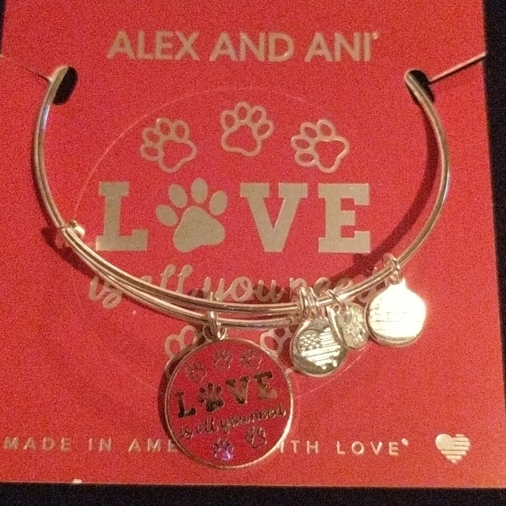 Alex and Ani bracelet